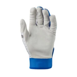 Evoshield Daze Adult Baseball/Softball Batting Gloves 19 Evoshield Daze Adult Baseball/Softball Batting Gloves -Bp Athletics wb5722203 1 evo daze batting glove adult ro.png.cq5dam.web .2000.2000 46302.1679446035